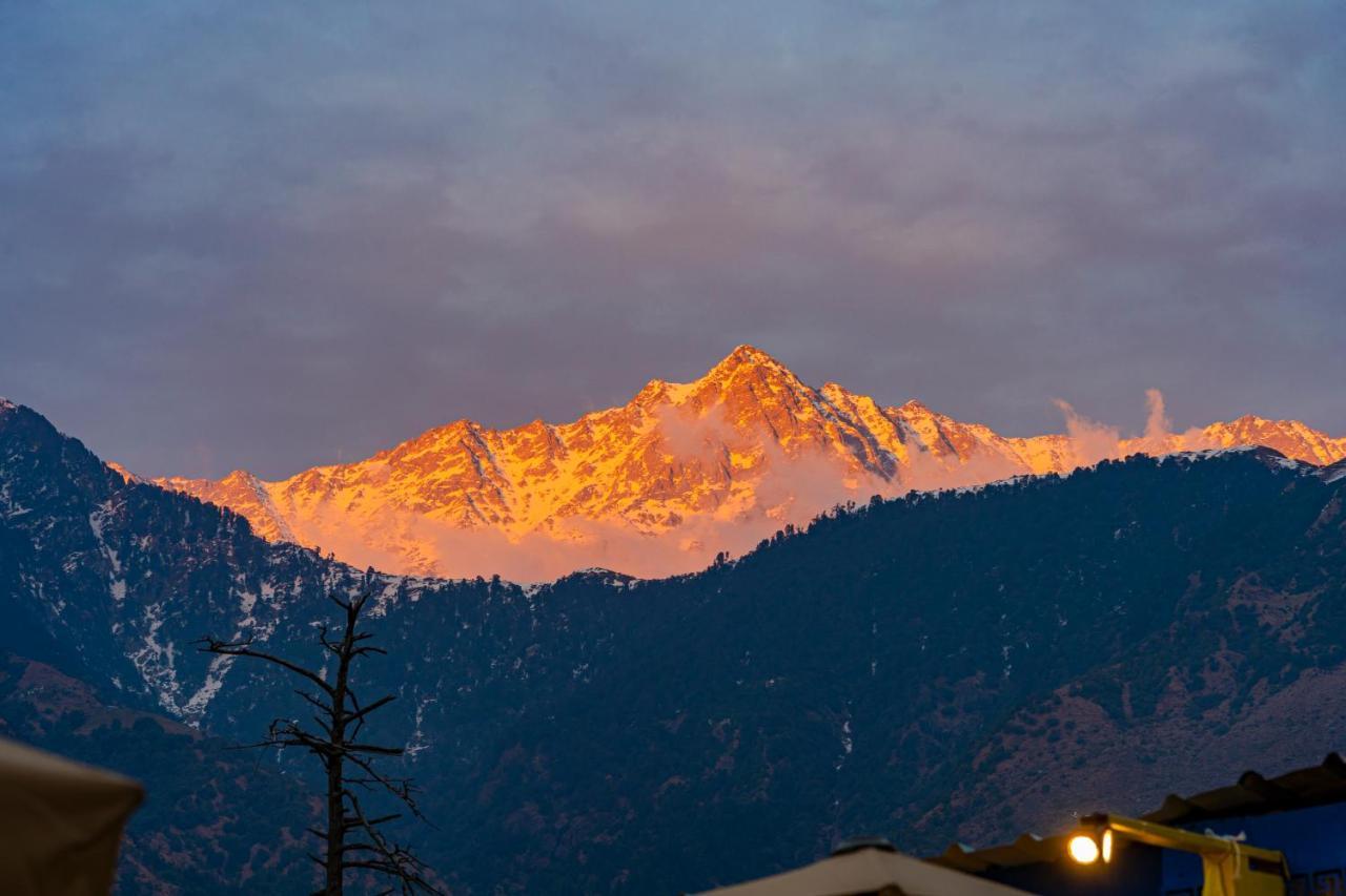 The Hosteller Mcleodganj, Mall Road McLeod Ganj Exterior foto